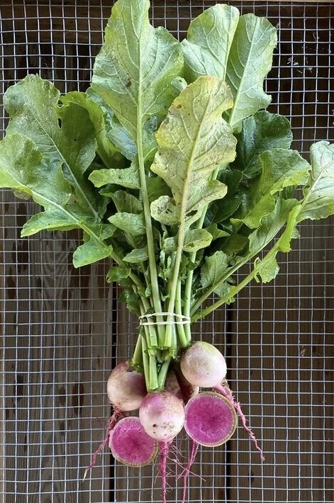 Saturday, January 9 // Back in Action