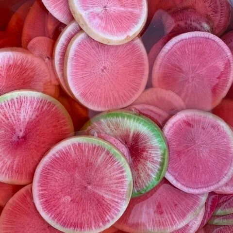 Saturday, February 20 // Winter Roots Shine