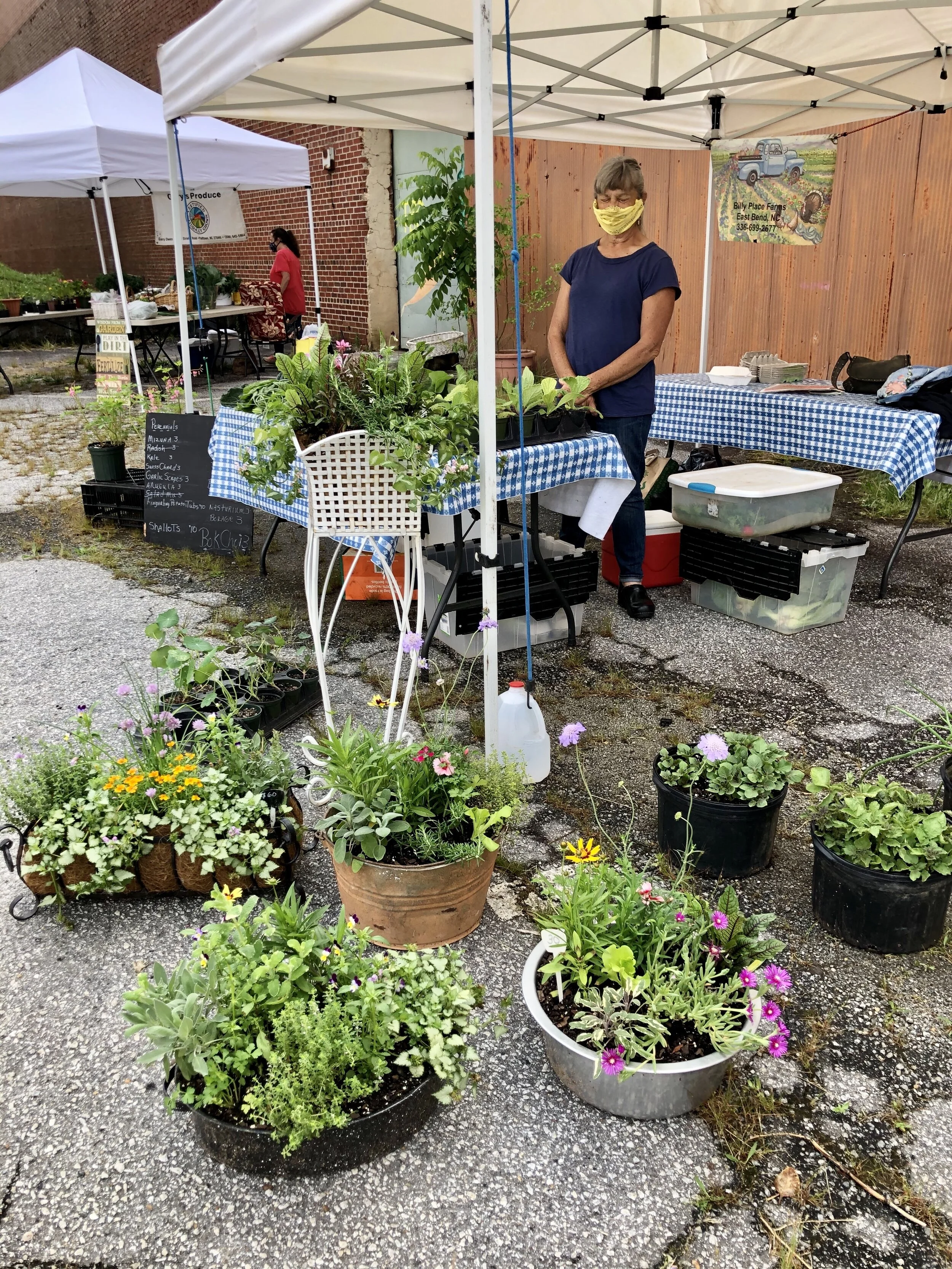 Saturday, March 6 // Spring in the Air