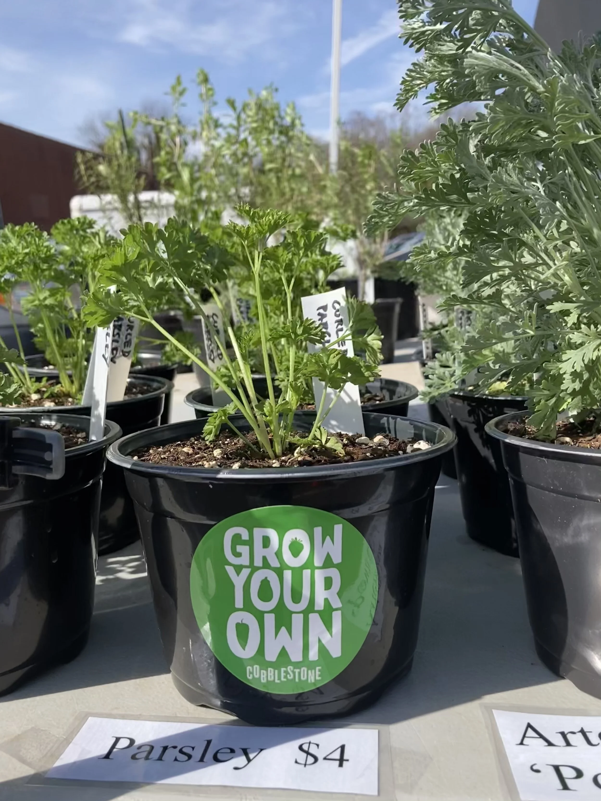 Saturday, March 27 // Gear Up to Garden