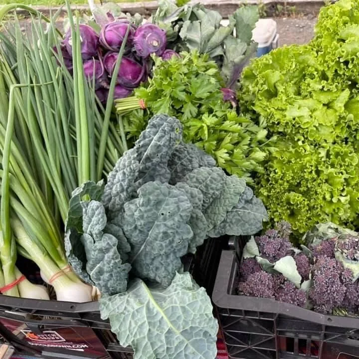 Saturday, May 15 // What's Bionic Tonic?