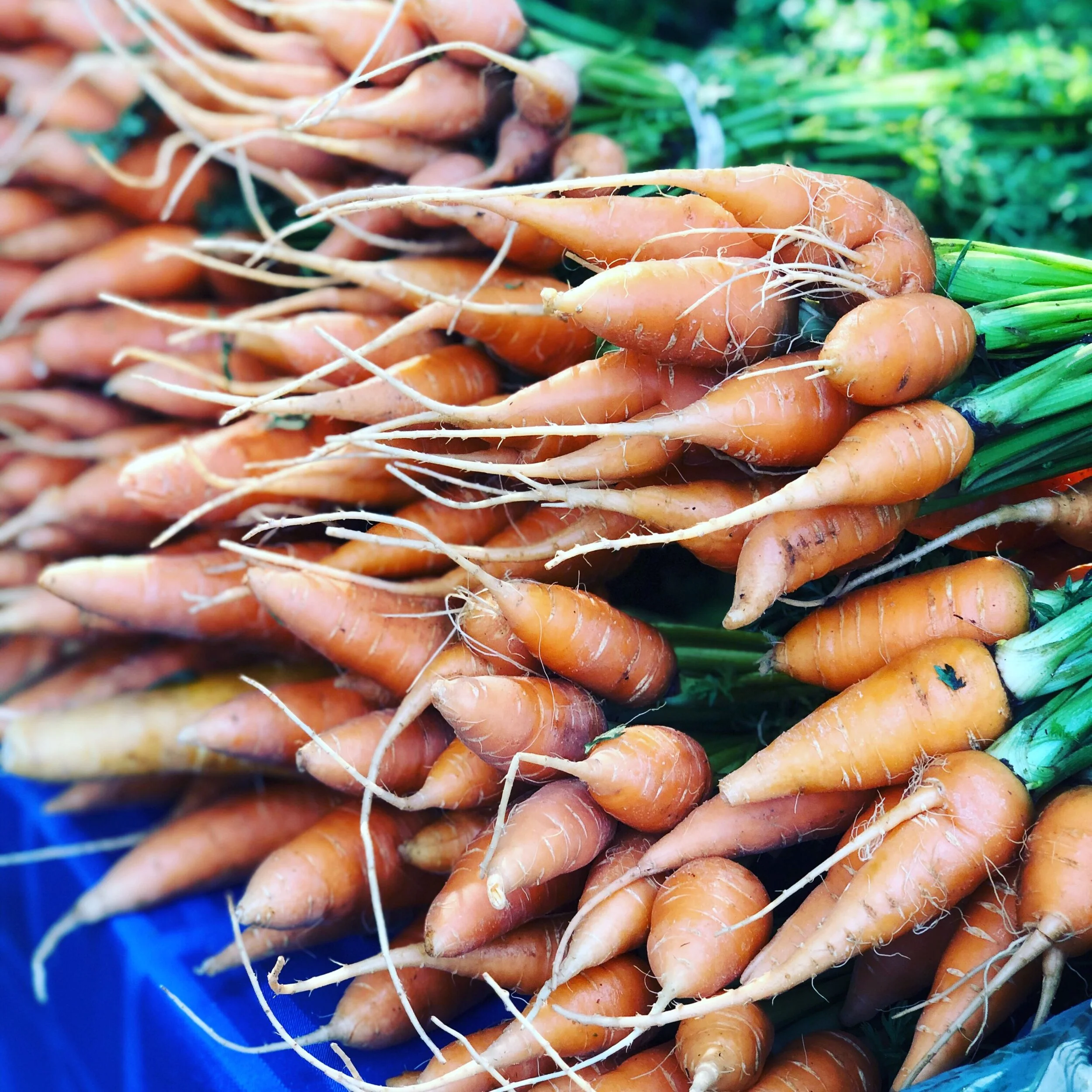 Saturday, May 22 // Grillin' Fever