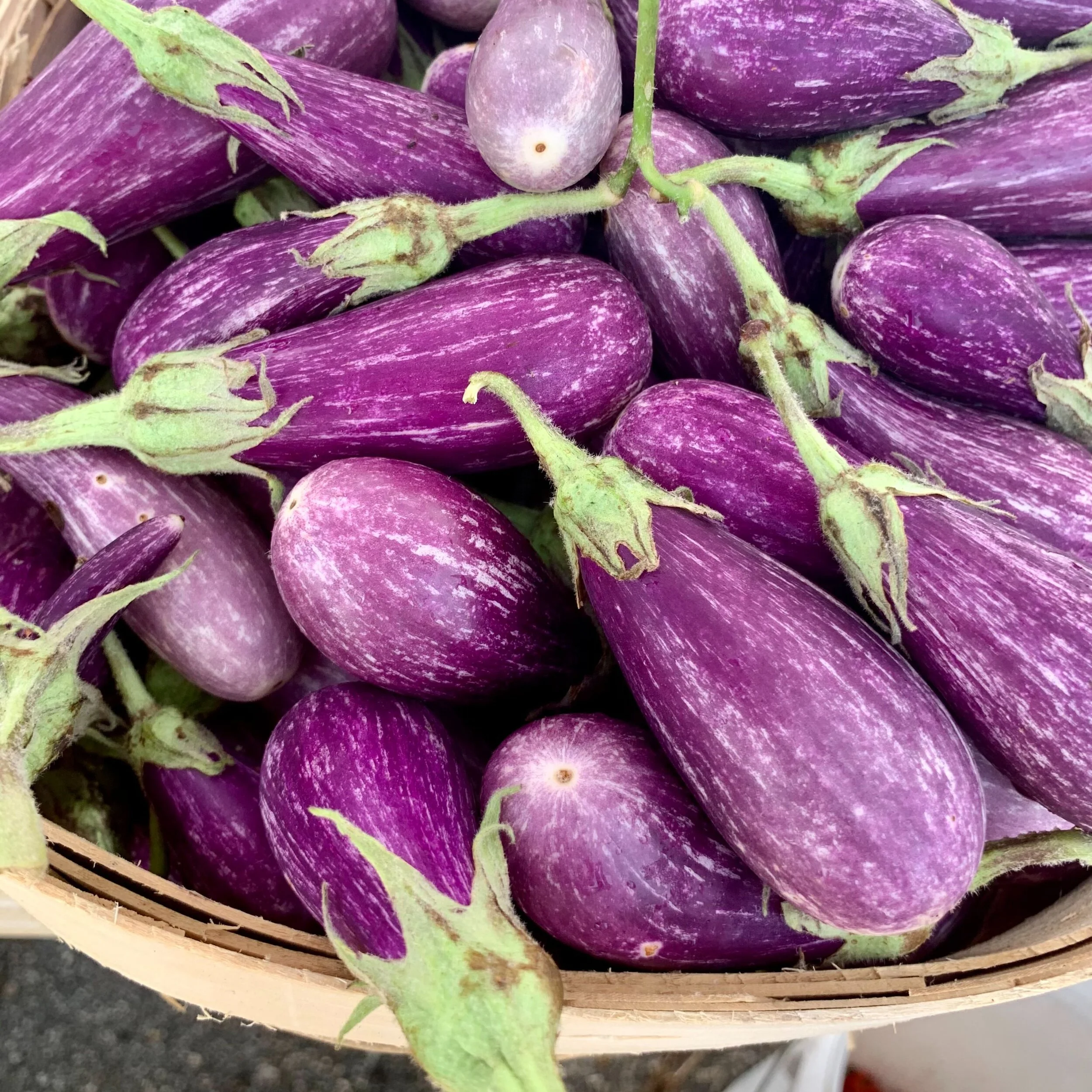 Saturday, July 31 // Eggplant the Purple Prize