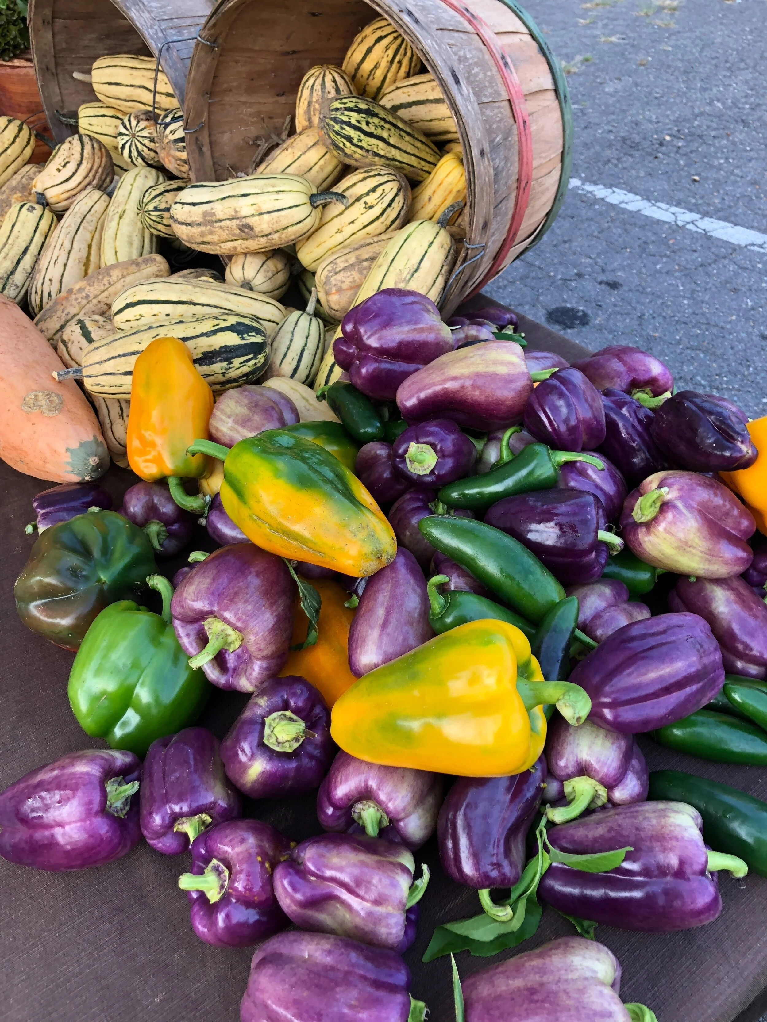 Saturday, September 18 // Autumn Equinox 