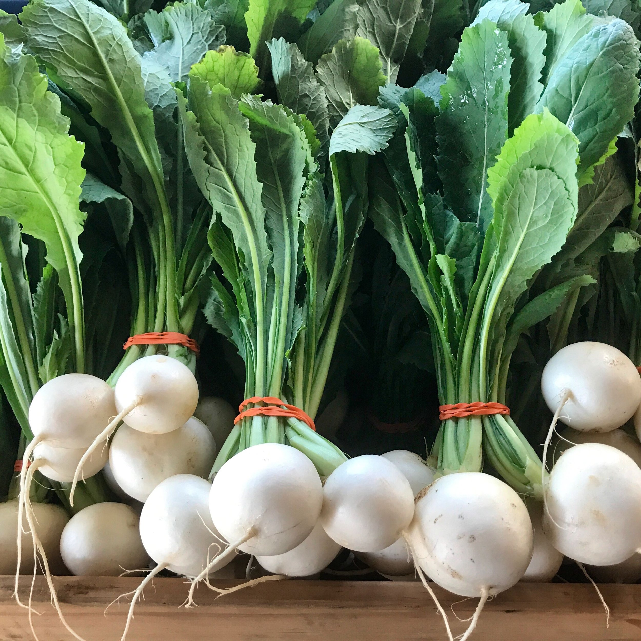 Saturday, April 9 // Market Updates &amp; Reminders