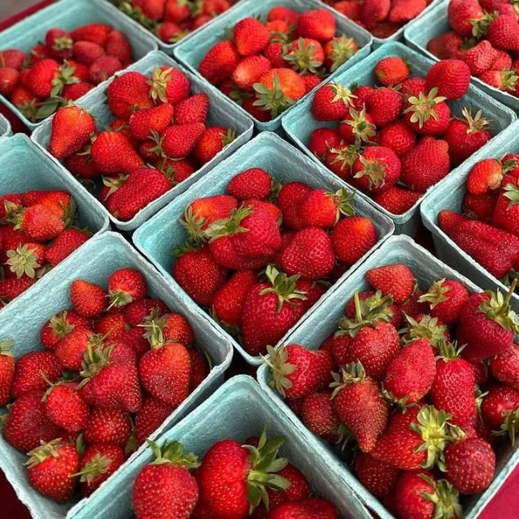Wednesday, June 1 // Miss Market Saturday?
