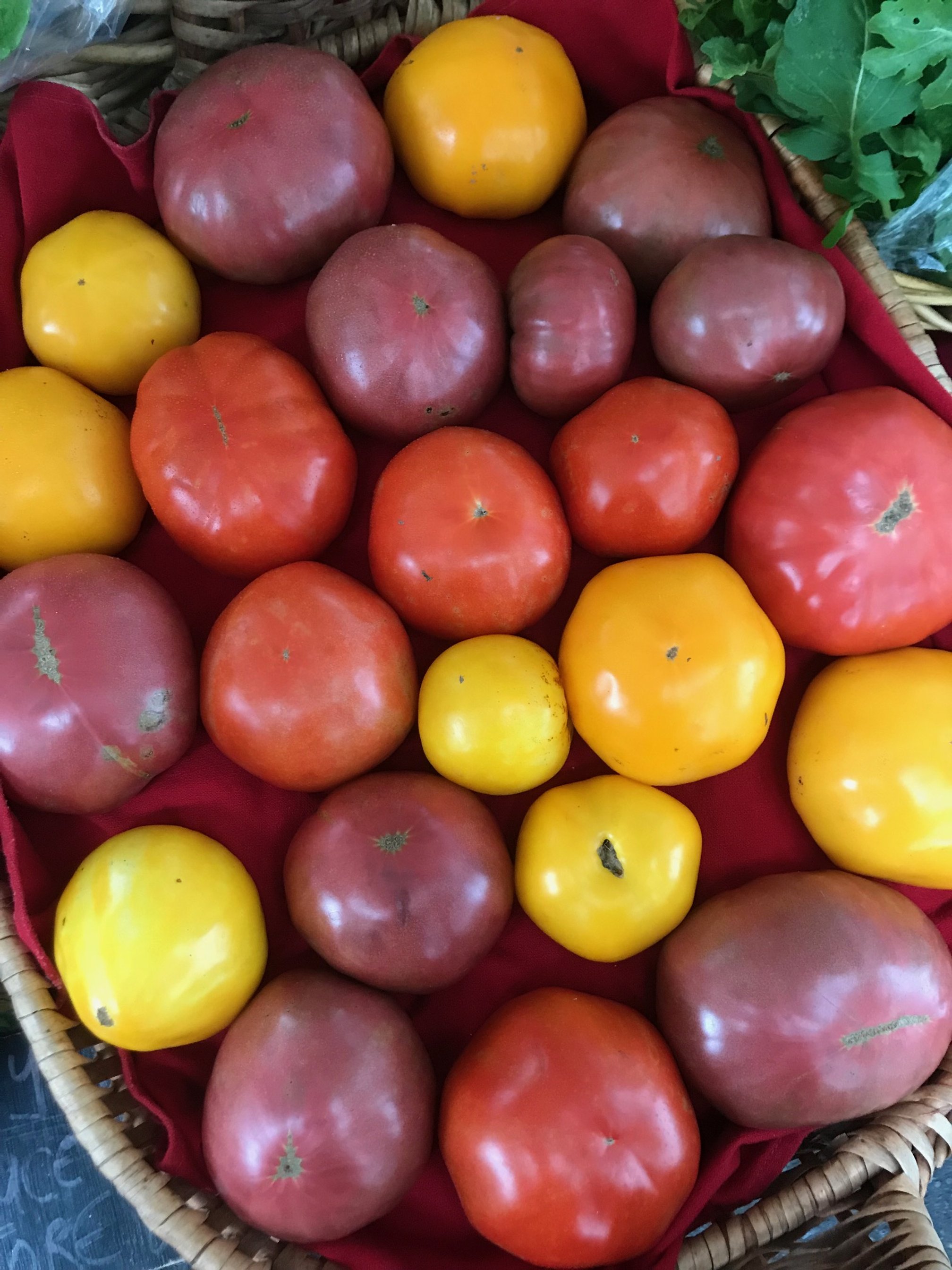 Wednesday, June 29 // Birdfeeder Making with CFM Seedlings