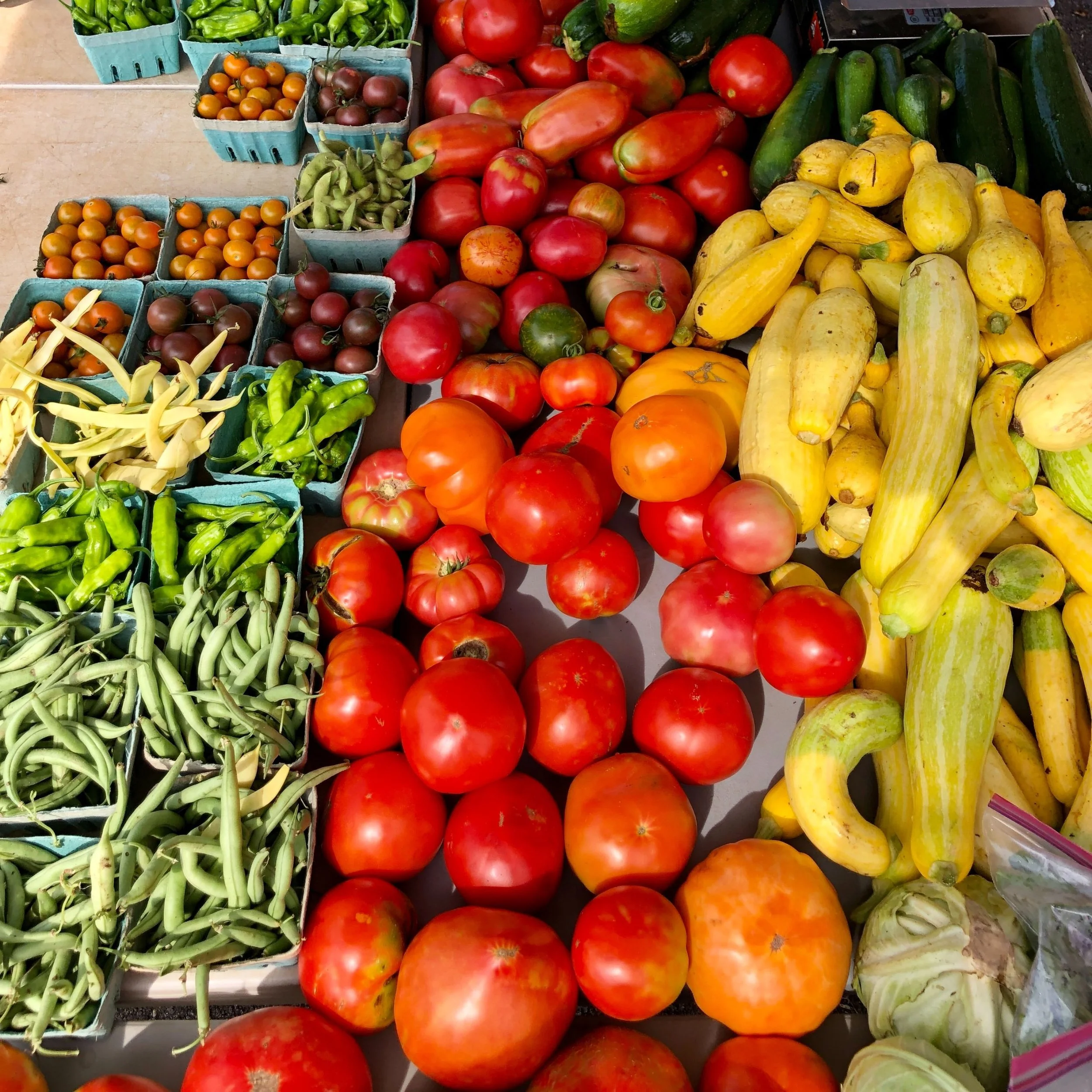 Saturday, July 9 // Summer's Bounty is Here 🍅 
