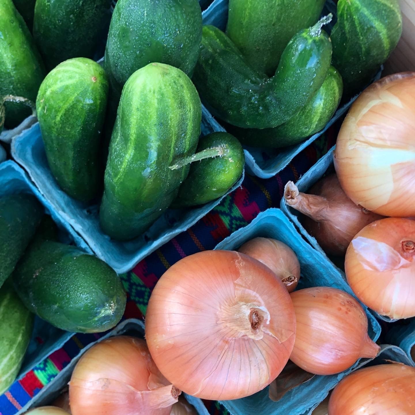 Wednesday, July 20 // Final Four Weeks