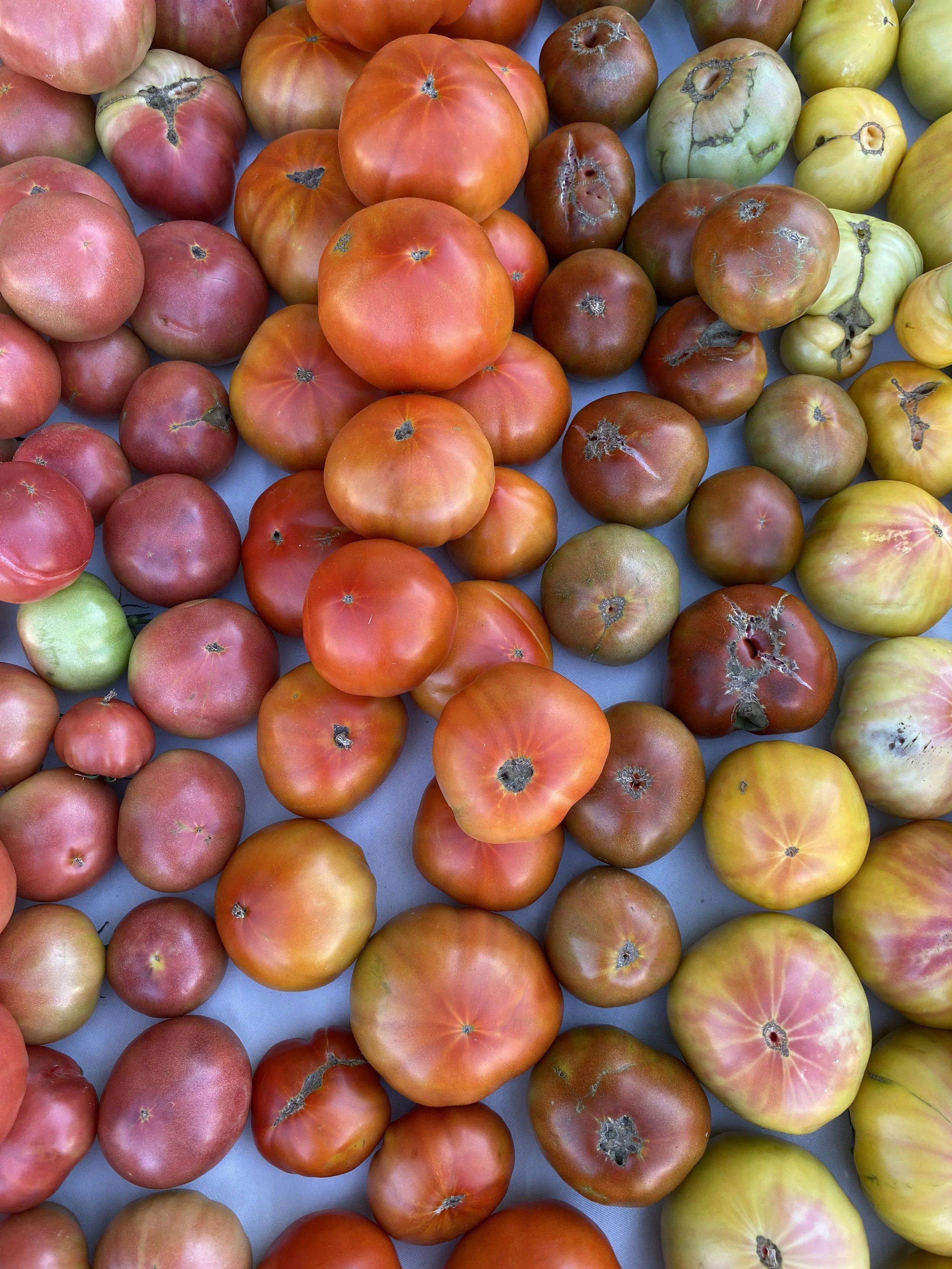 Wednesday, July 27 // Midweek Local Shopping While You Can