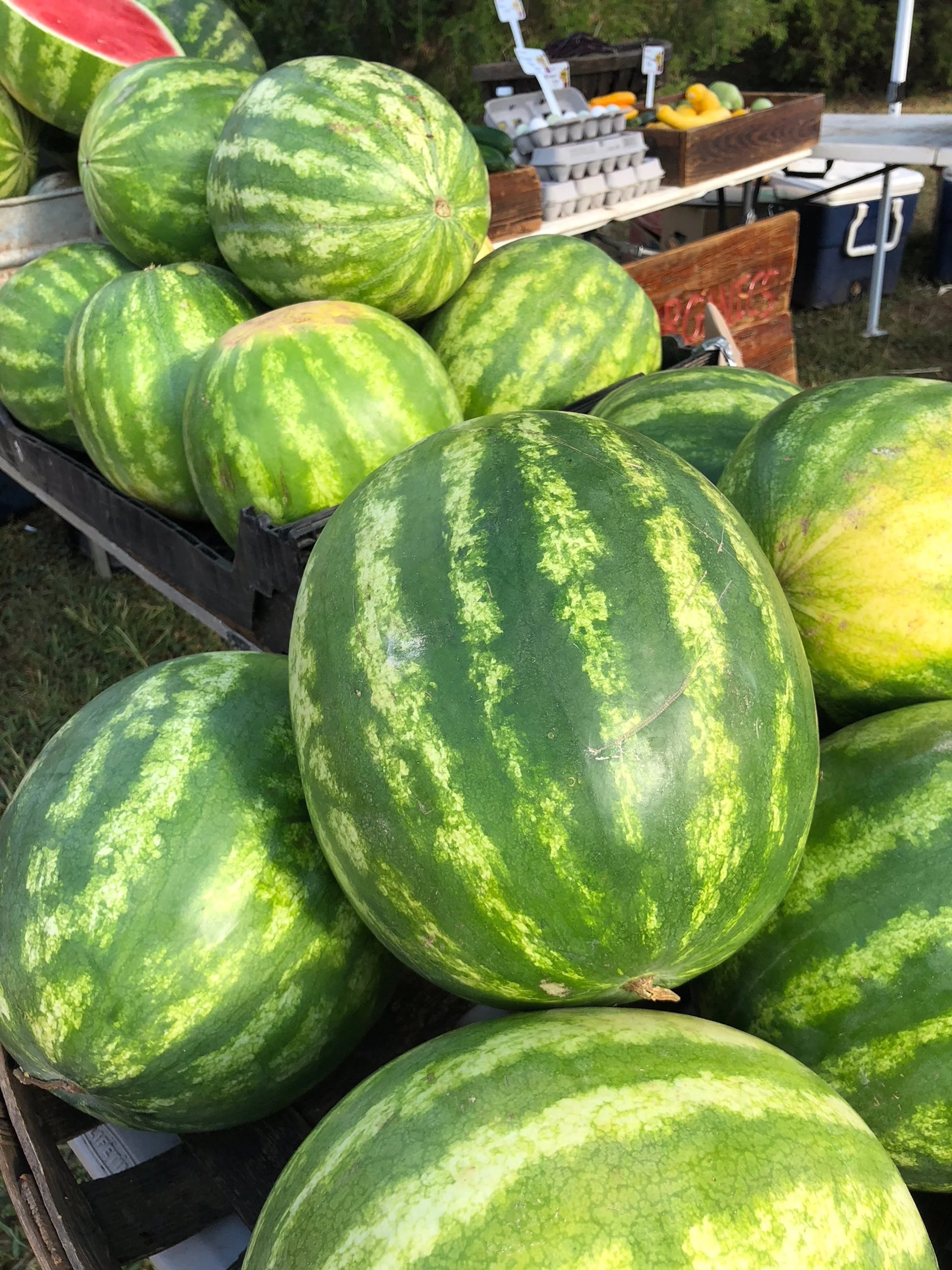 Saturday, July 30 // ICE CREAM DAY