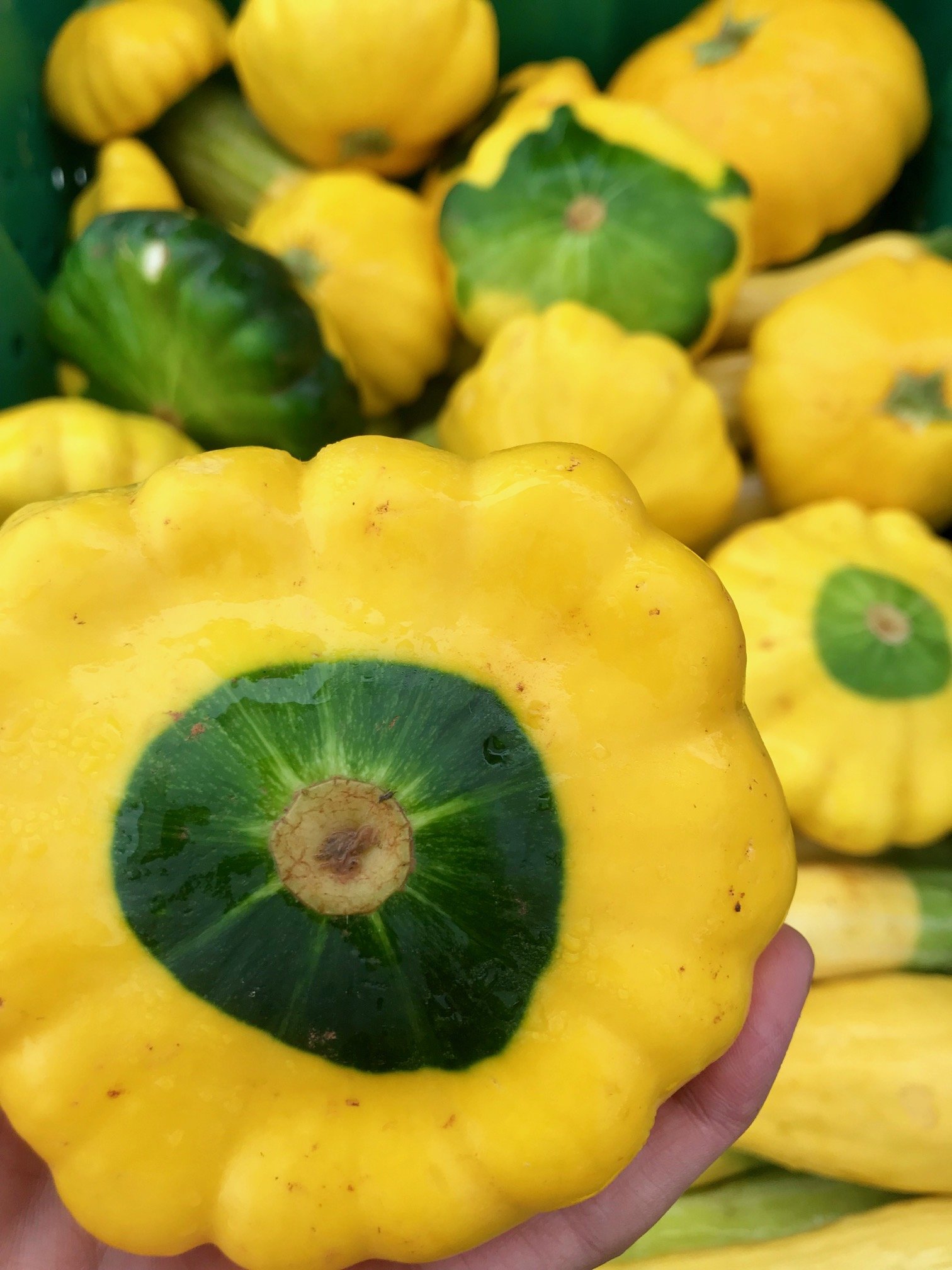 Wednesday, August 3 // Wednesday Market with Storytime for the Kiddos