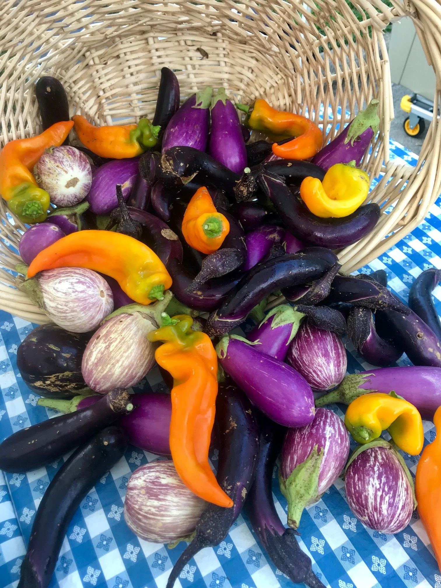 Wednesday, August 10 // LAST Wednesday Market of 2022 