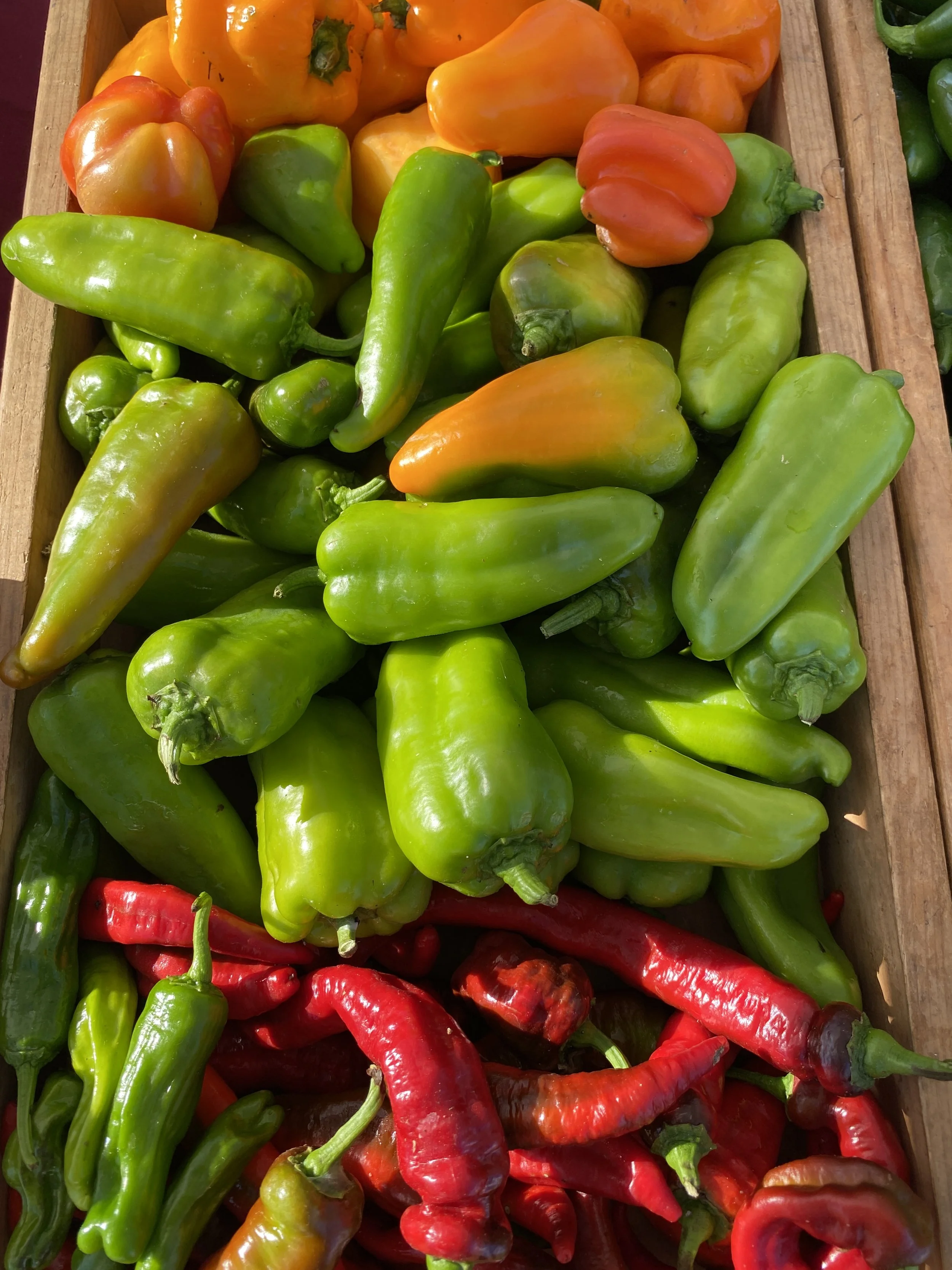 Saturday, August 27 // Ready to be your go to for staples, specialties and ALL the freshest food