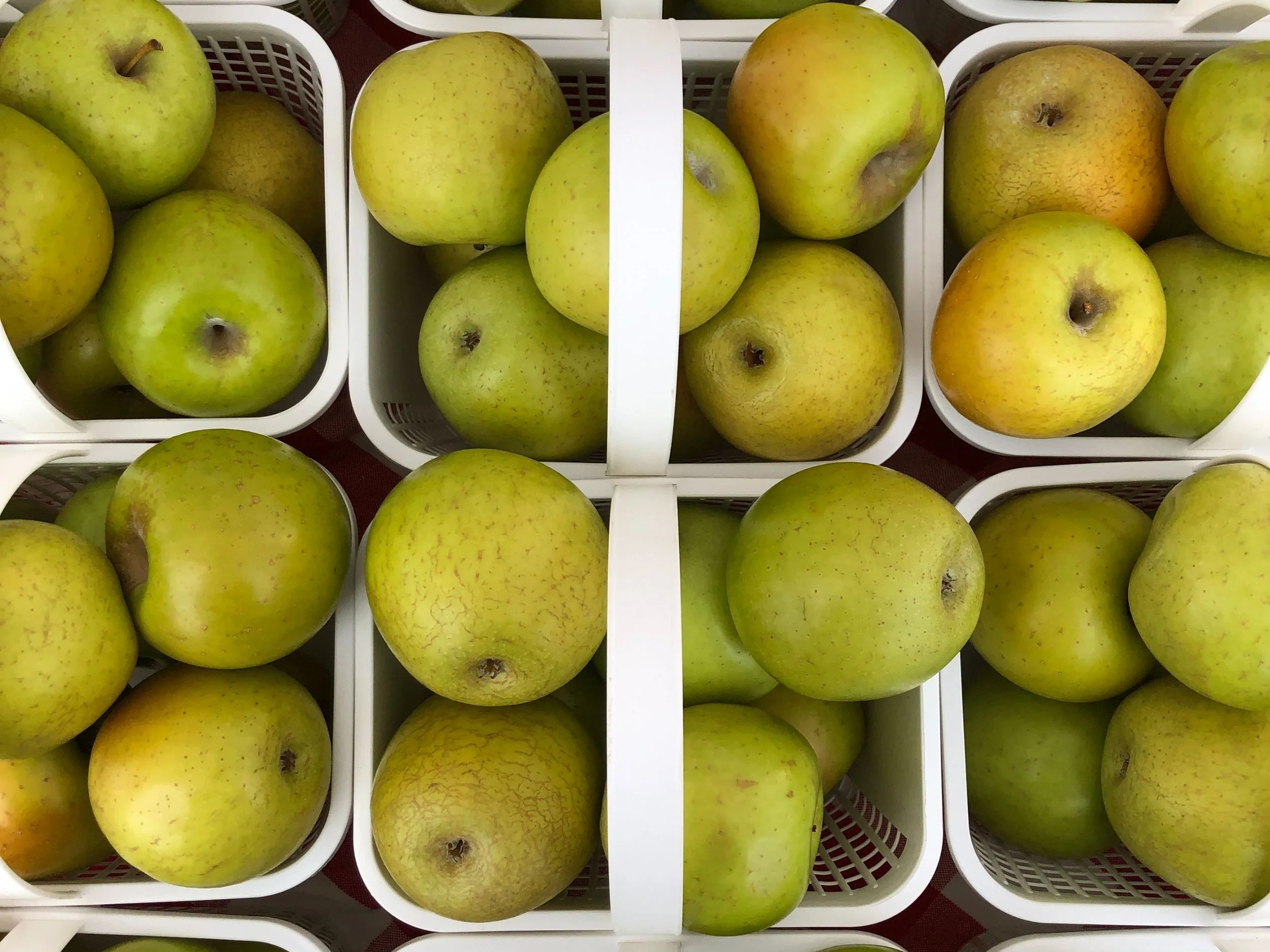 Saturday, September 3 // Did you know CFM is open YEAR ROUND? That's right - we're gearing up for more goods &amp; F.U.N to come! 