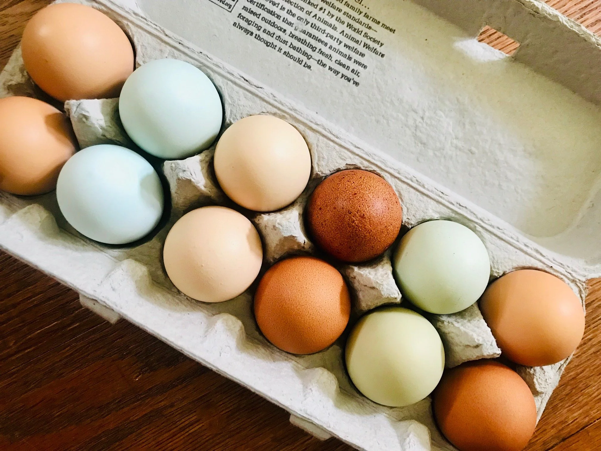 Saturday, September 10 // Your YEARROUND Local Outdoor Grocer