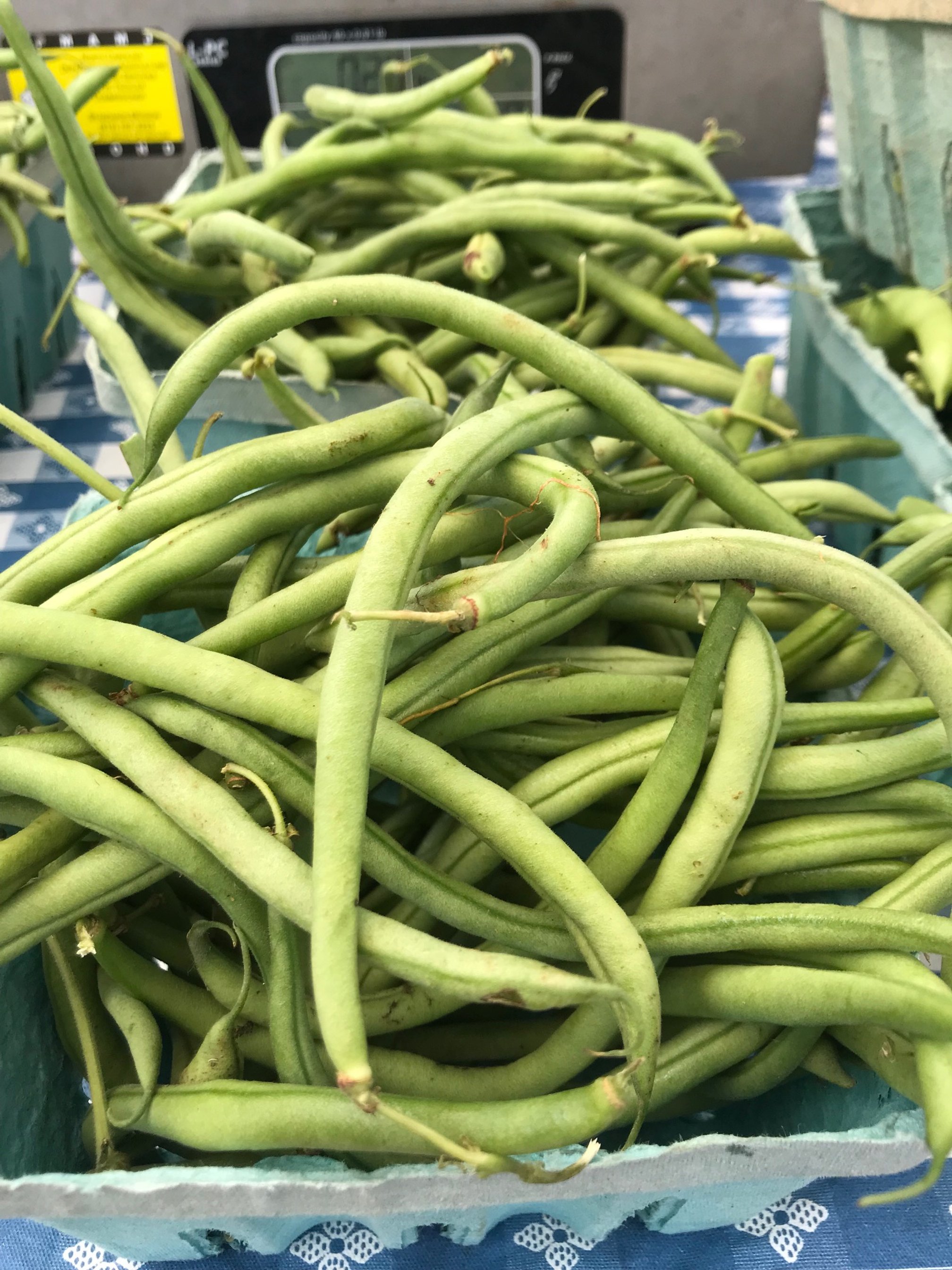 Saturday, September 17 // Cool, crisp &amp; sunshine filled...that's the kinda Fall Market day we live for!