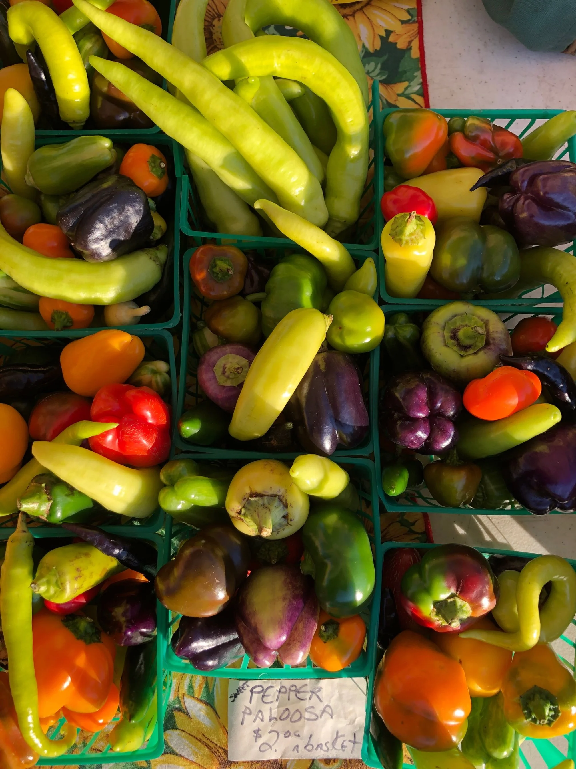 Saturday, September 24 // We're celebrating all things P E P P E R S this Saturday at CFM