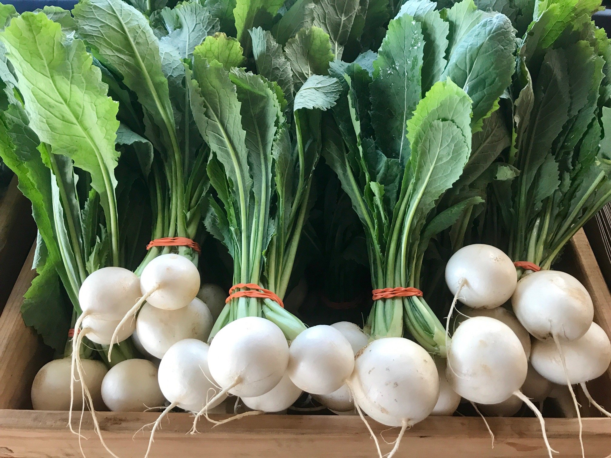 Saturday, October 22 // Full on with Fall Goods! Plus: Save The Date for Halloween @ CFM, Oct. 29 