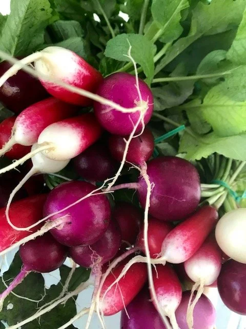 Saturday, February 18 // Fried Rice Demo with Kuya Bear and BV Kitchen