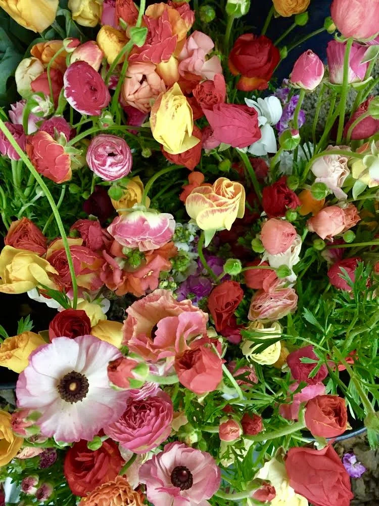 Saturday, March 18 // Make You Garden Plans and get the goods at CFM