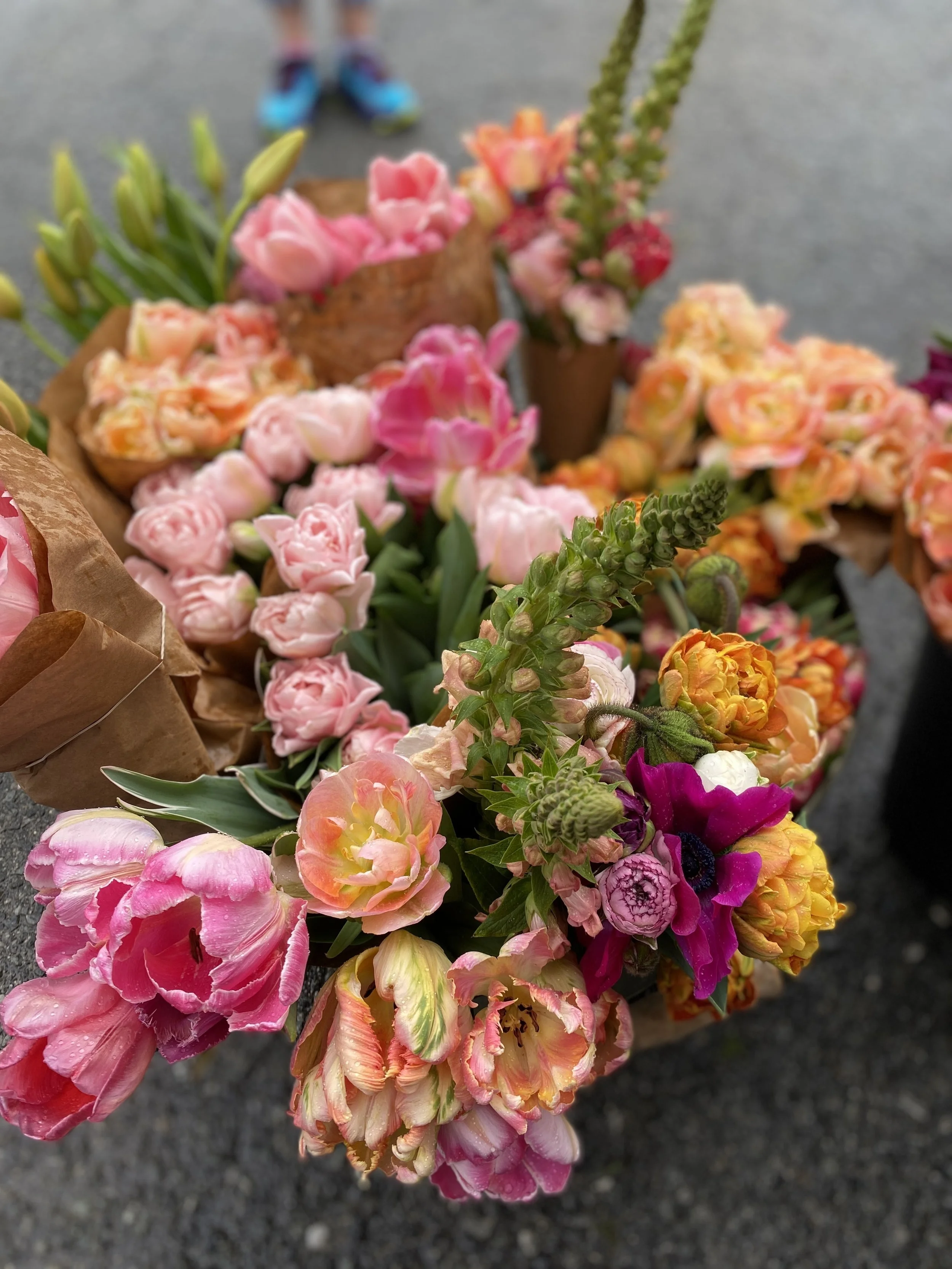 Saturday, April 22 // A Weekend FULL of FUN this Earth Day