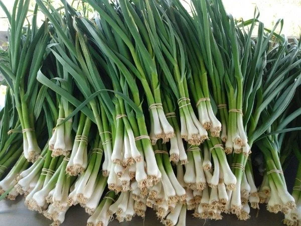 Saturday, May 13 // Sausage, Egg &amp; Pistou Sammies for Sale Saturday!