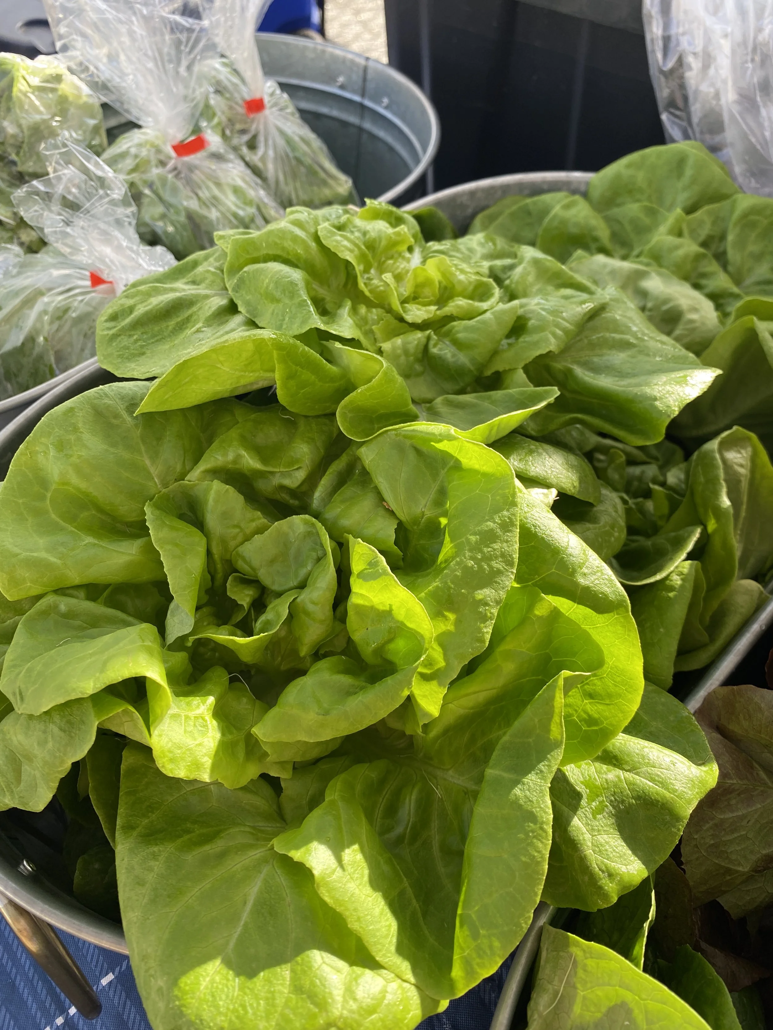 Saturday, June 3 // Tips-N-Tricks for keeping things FRESH in the fridge!