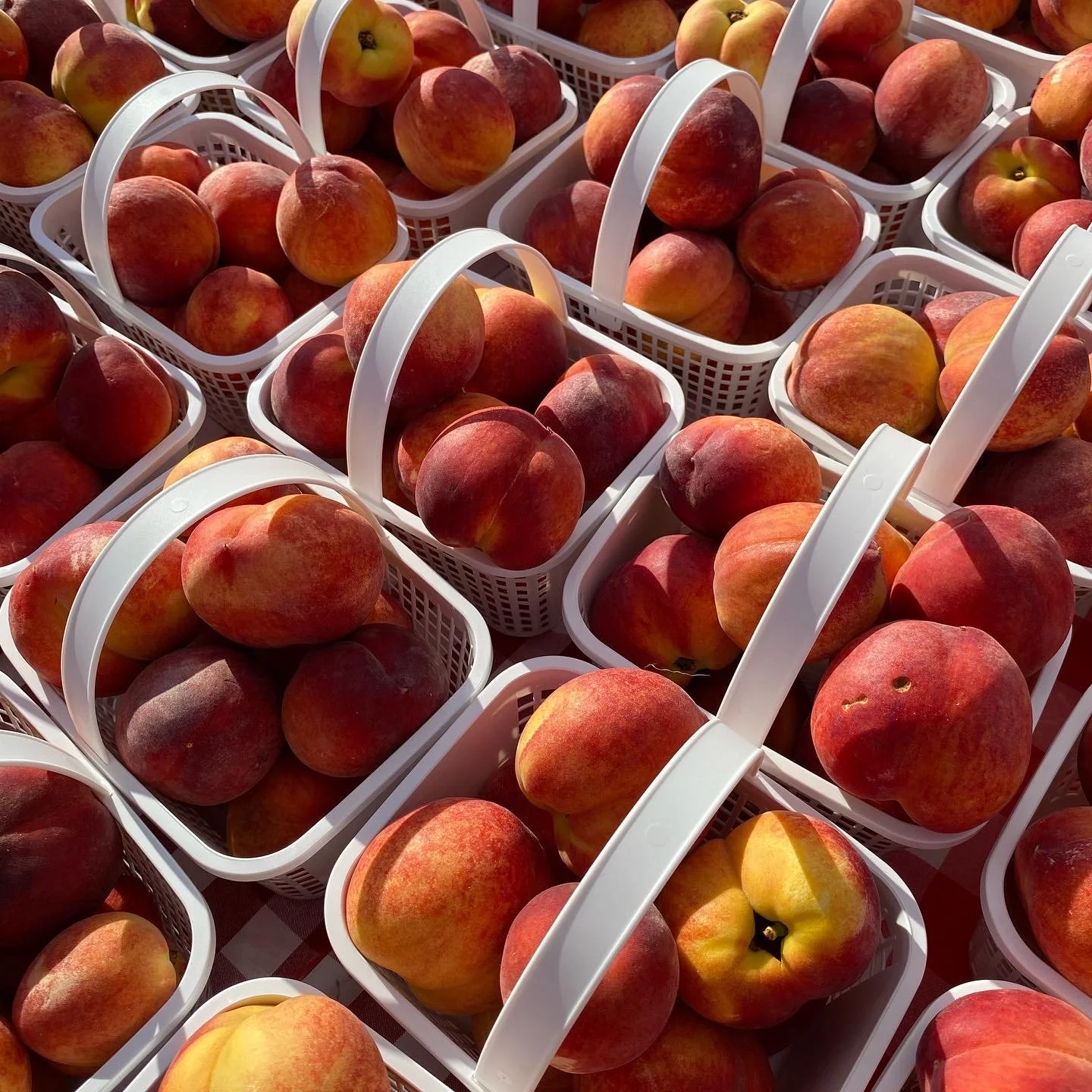 Saturday, June 17 // Celebrate with Local FOOD Anytime of the Year 🌈