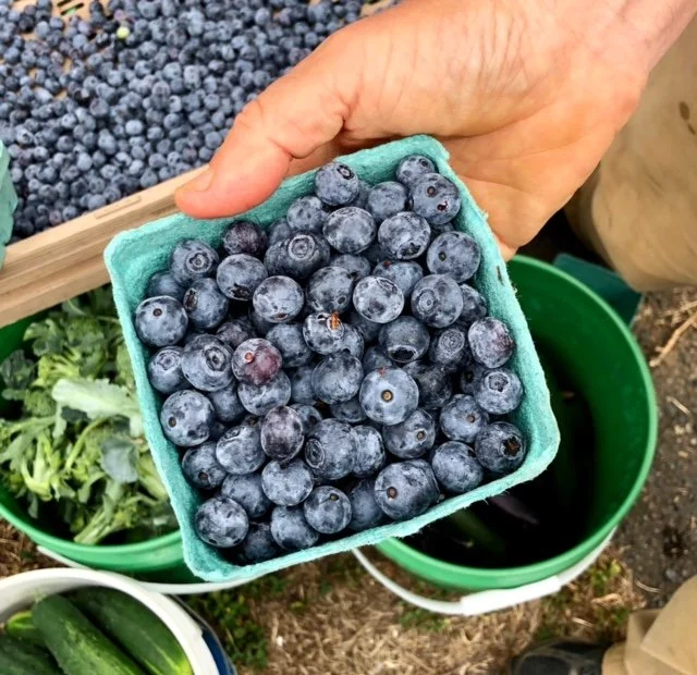 Saturday, June 24 // Get the first 🫐 BLUEBERRIES 🫐 of the summer