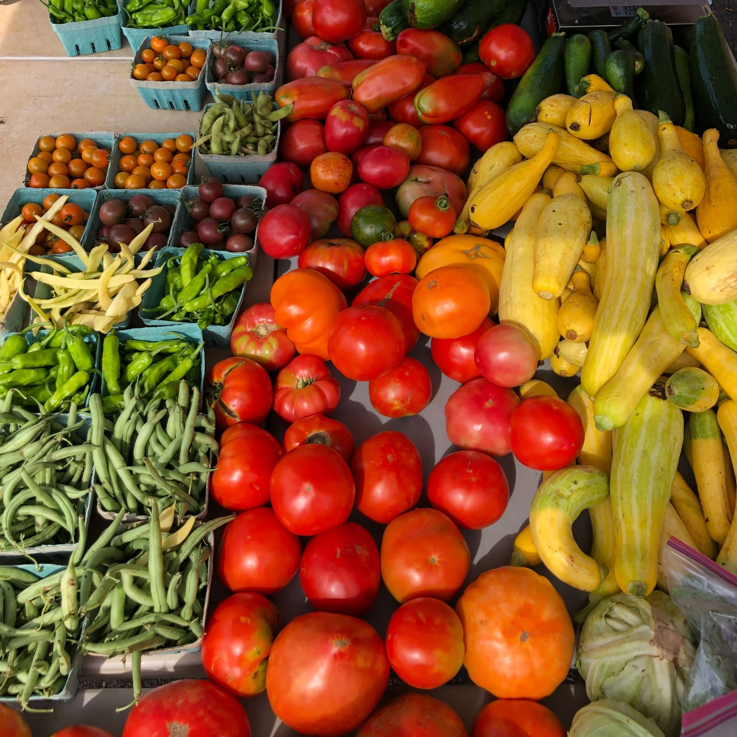 Saturday, July 22 // Tomato Abundance Continues... Along with your Favorite Summer Veggies