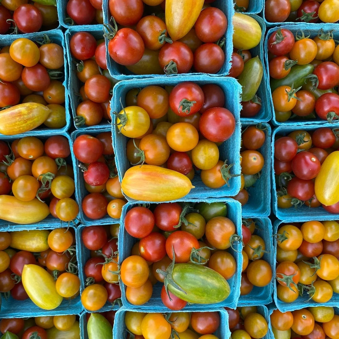 Saturday, August 19 // Summer's abundance is coming to a close; Get re-INSPIRED by the Season!