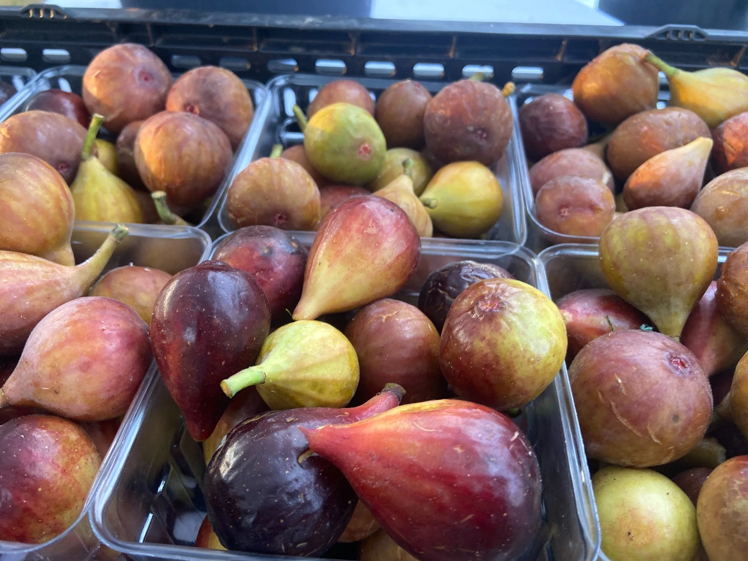 Saturday, September 2 // Celebrate the Long Weekend &amp; Grow Your Own Fall Edition!