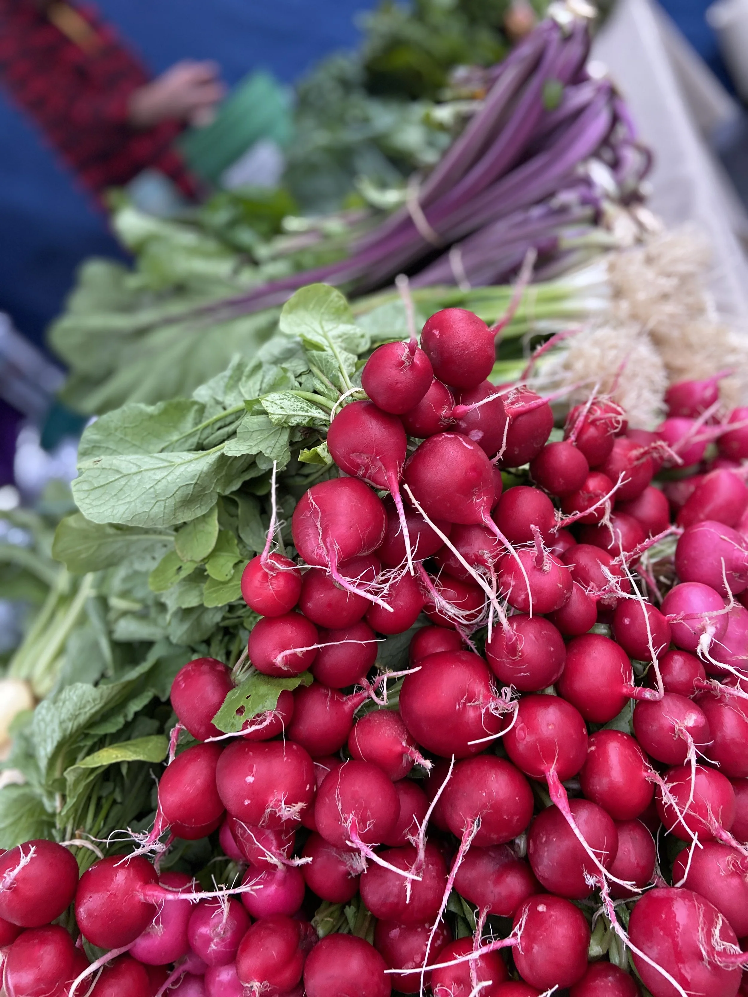 Saturday, January 13th // Market take 2! Abundance Awaits!