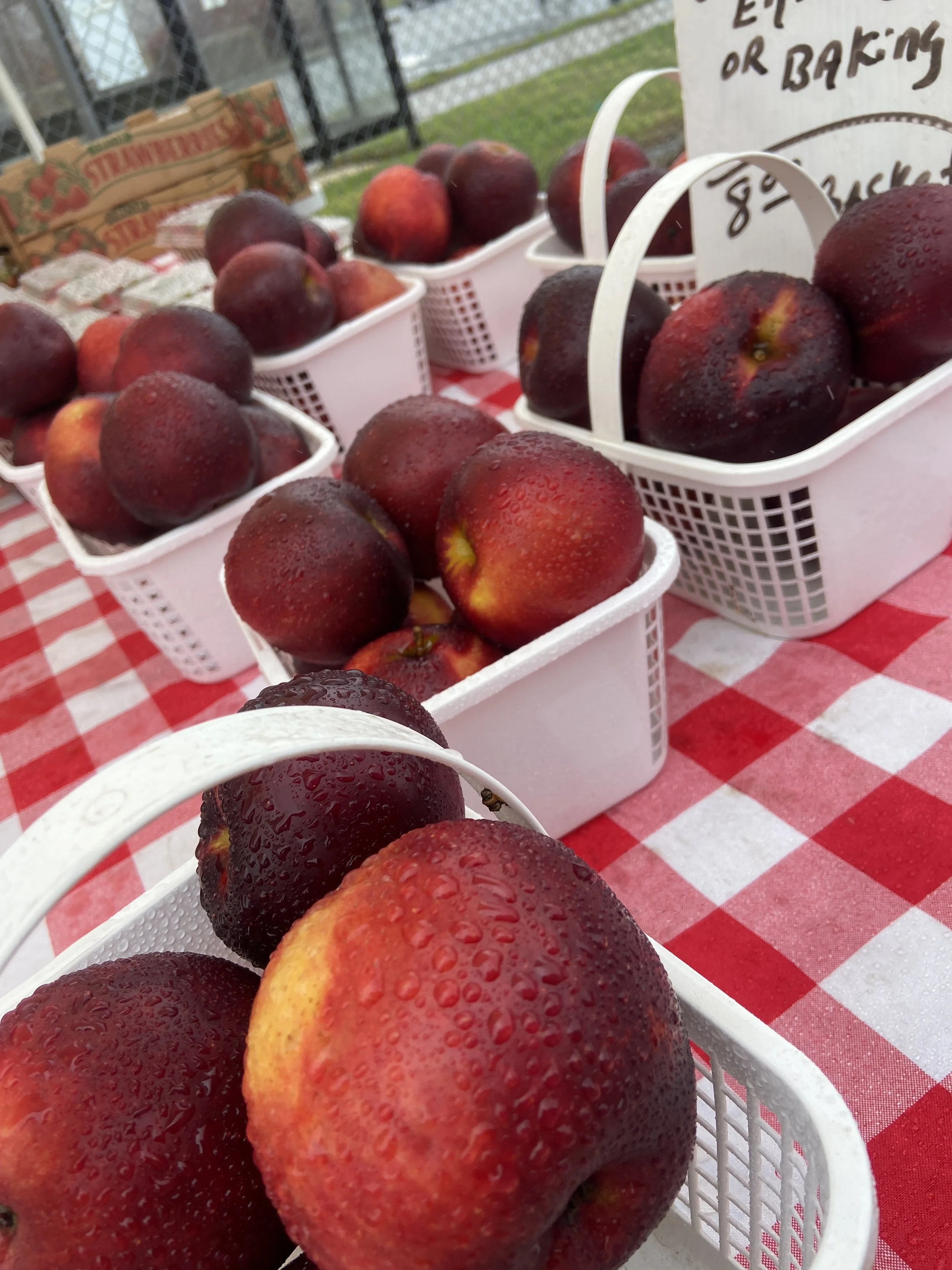 Saturday, February 17th // Stumble upon something NEW at Cobblestone!