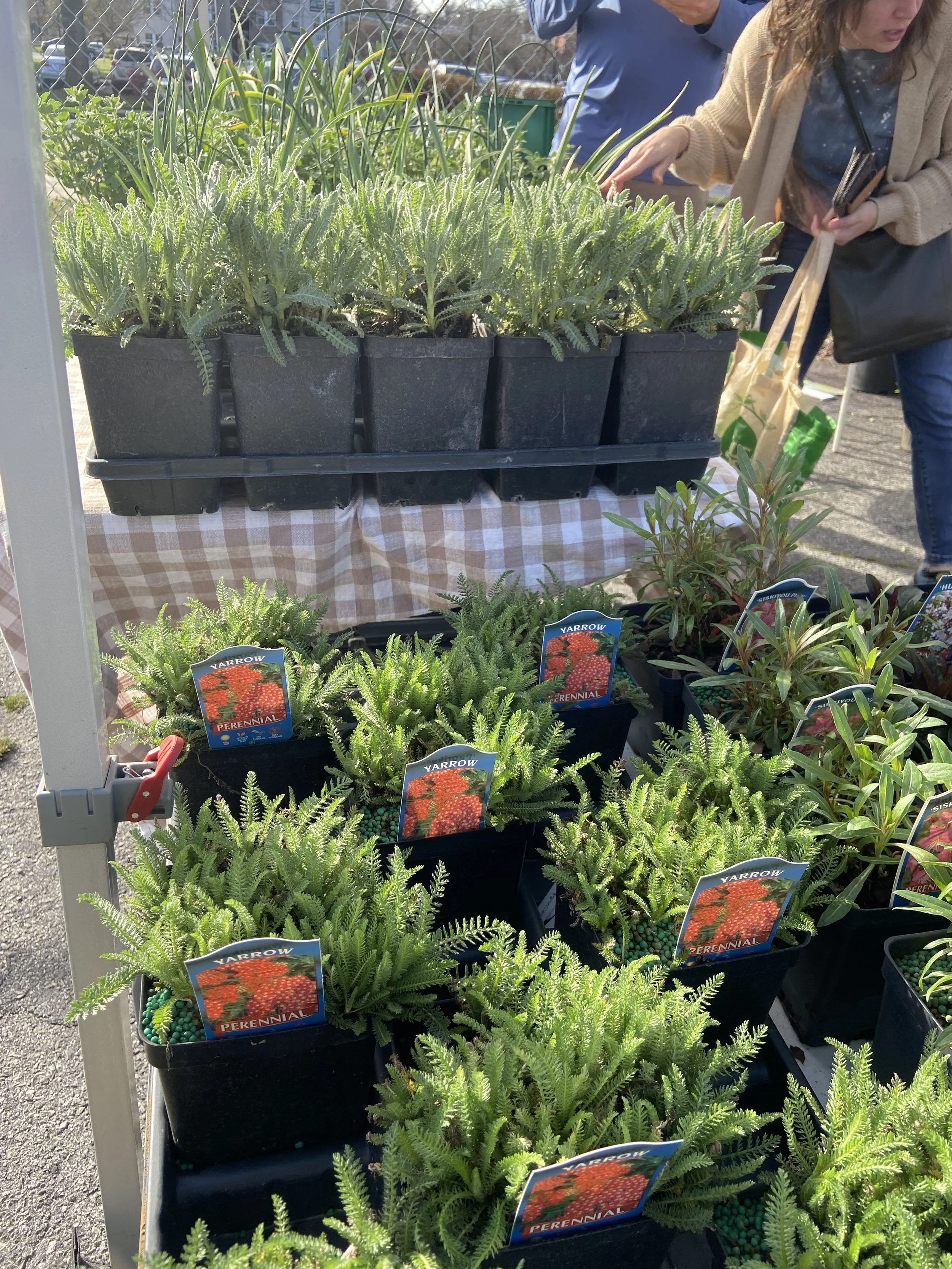 Saturday, March 23rd // It's officially SPRING!