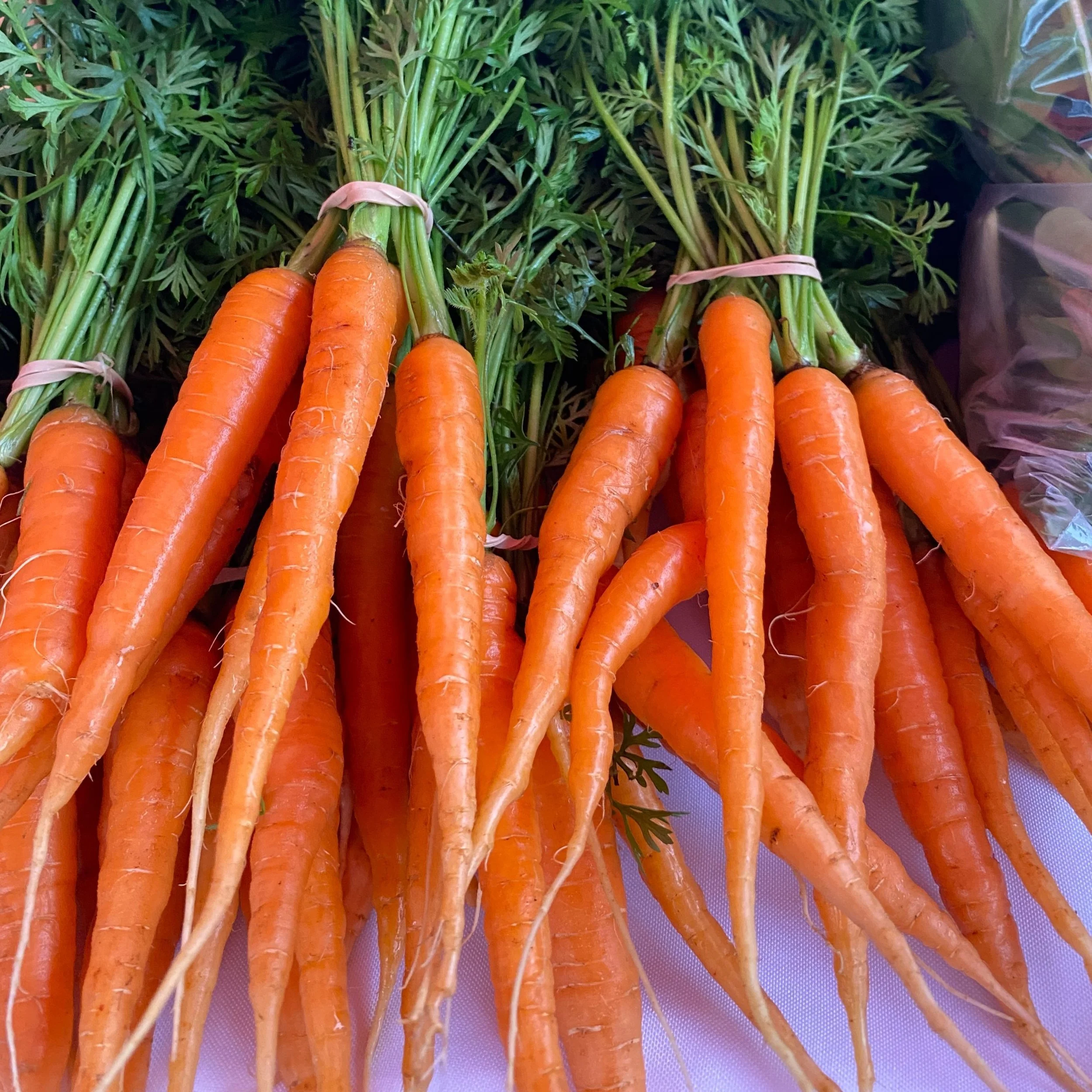 Saturday, May 4th // Rain or Shine, we are OPEN!