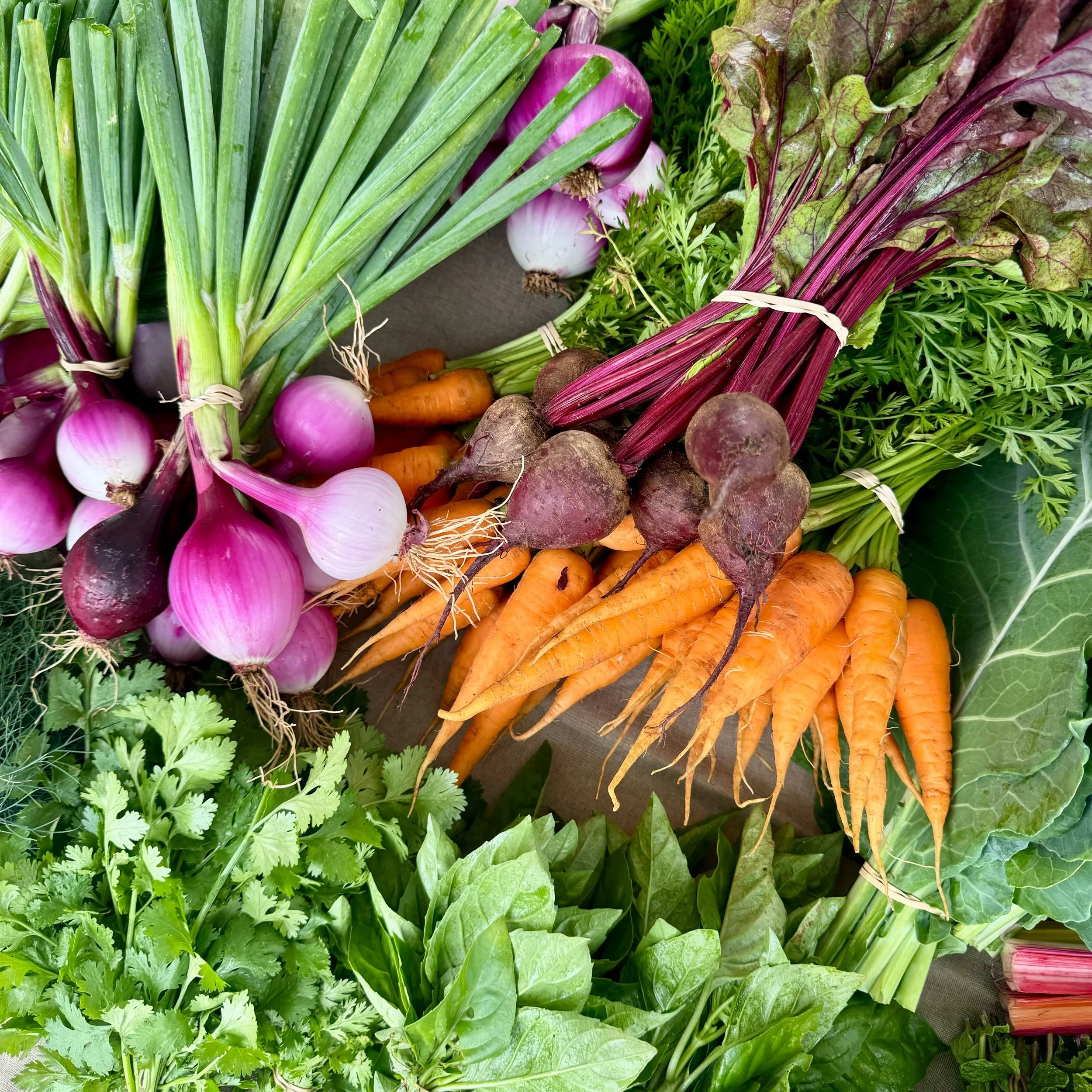 Saturday, June 8th // Essentials for Summer Routines + Weekend Getaways