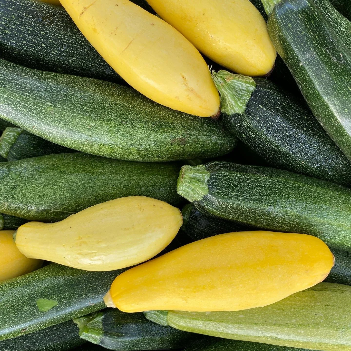 Saturday, July 13th // NOW is the time to think about Savoring Summer Flavors and Puttin them Up!