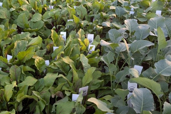 Saturday, September 7th // Seasonal Crossover Stock Up