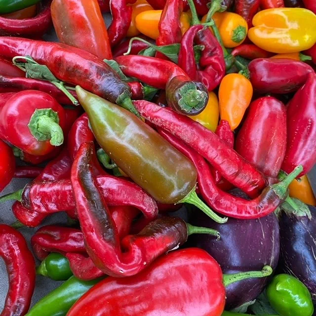 Saturday, September 21st // Eat Seasonally and Shop with Cobblestone, EVERY WEEK