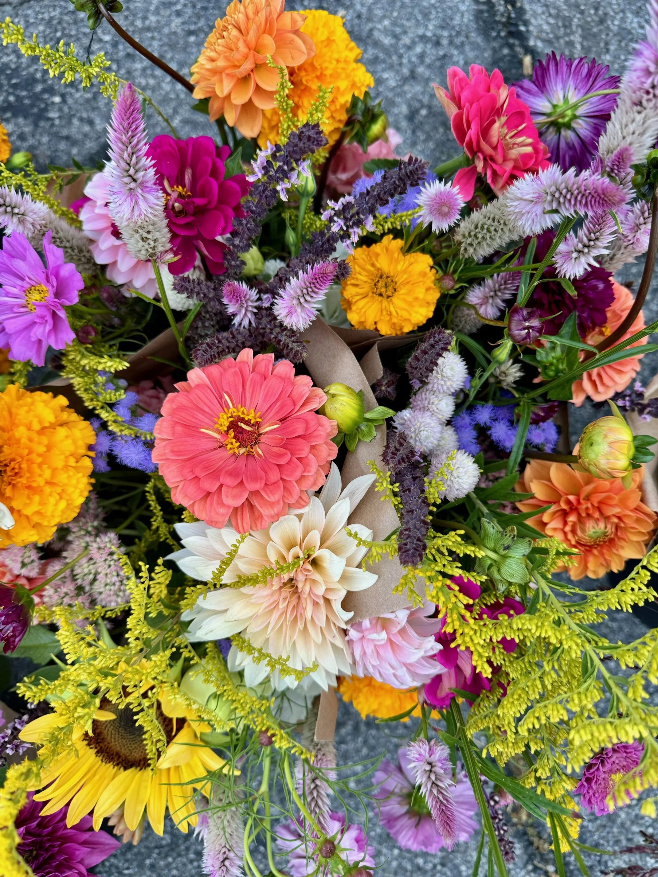 Saturday, October 19th // Perfect F A L L Market Mornings