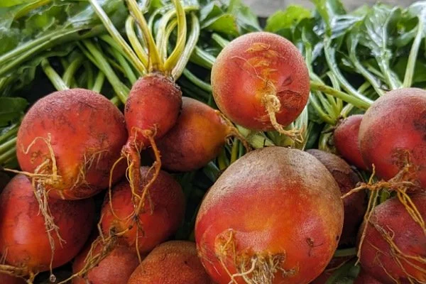 Saturday, November 2nd // Thank you for being an active part of the local food community by Shopping CFM