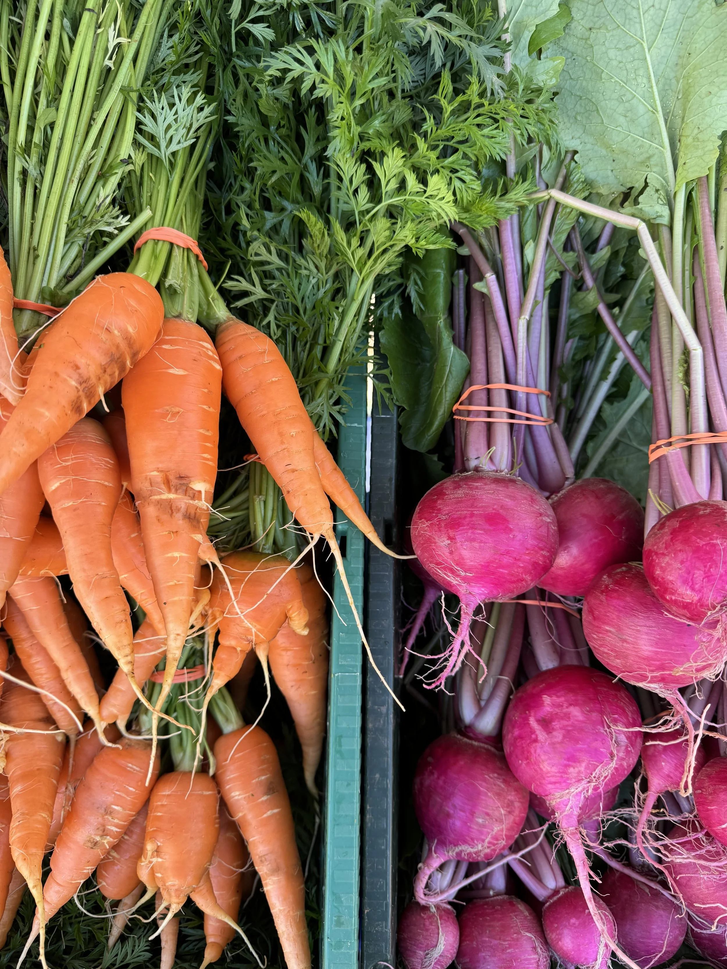 Saturday, November 16th // TWO MORE Saturdays before Thanksgiving - let the market stock up begin!