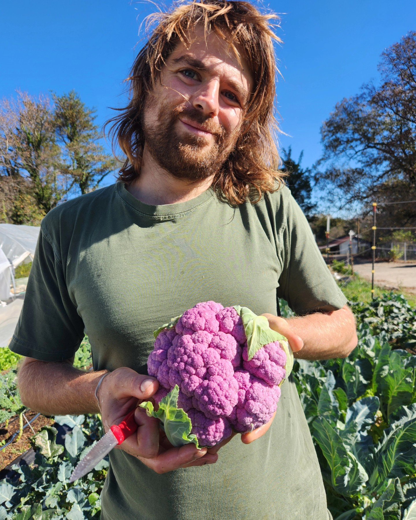 Saturday, November 23rd // Families Supporting Families when you Shop Market Every Week and Feed Yours, with LOCAL FOOD for all you Gatherings🤎