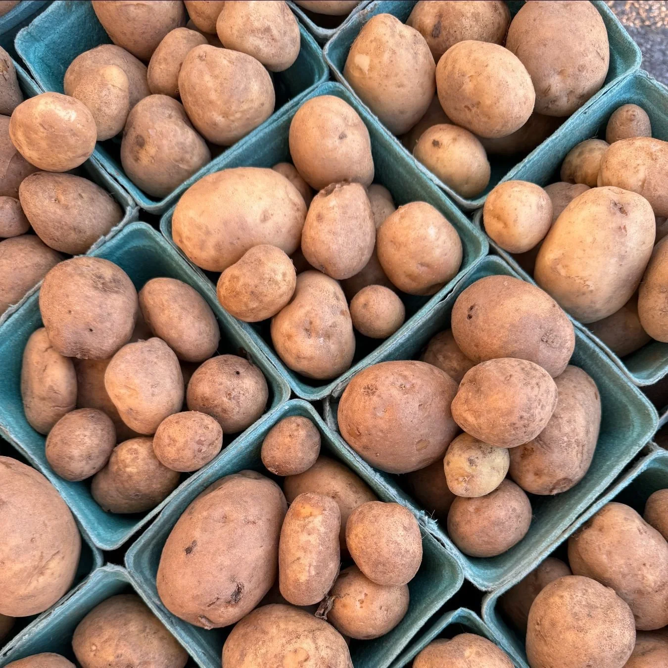 Saturday, December 21st // Last Market of 2024!