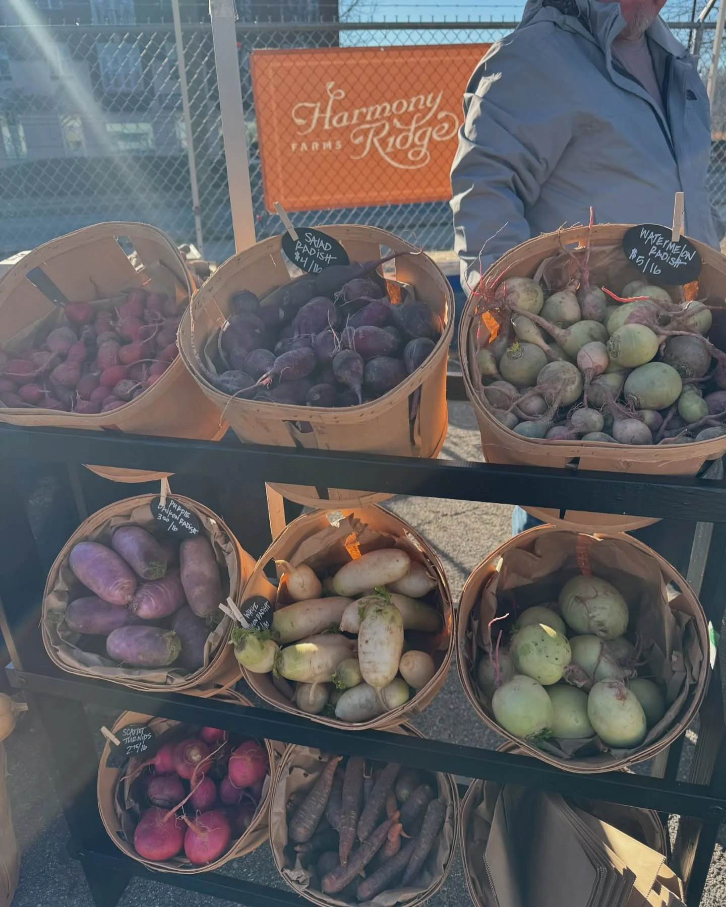 Saturday, February 1st // Fresh, Honest, Local FOOD for ALL