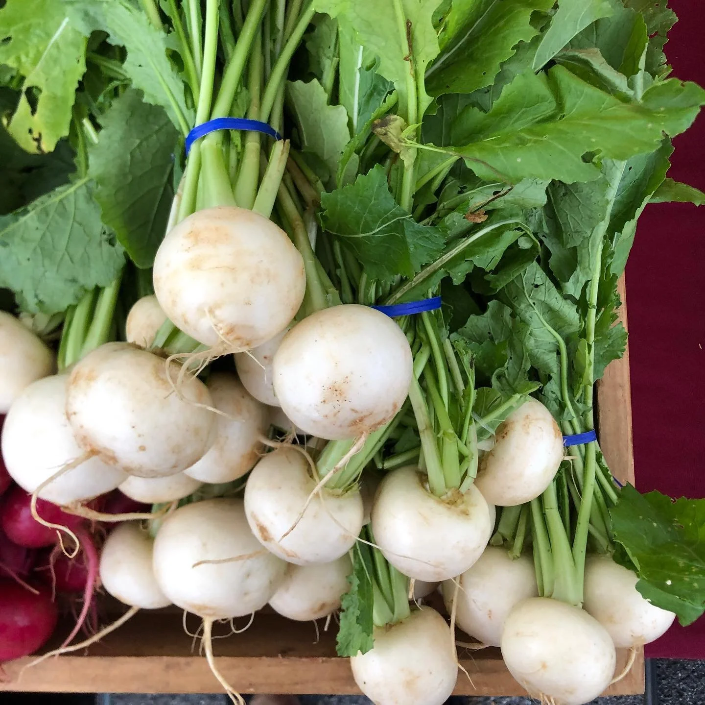 Saturday, February 15th // Stay Healthy with Local, Nutrient Dense Food