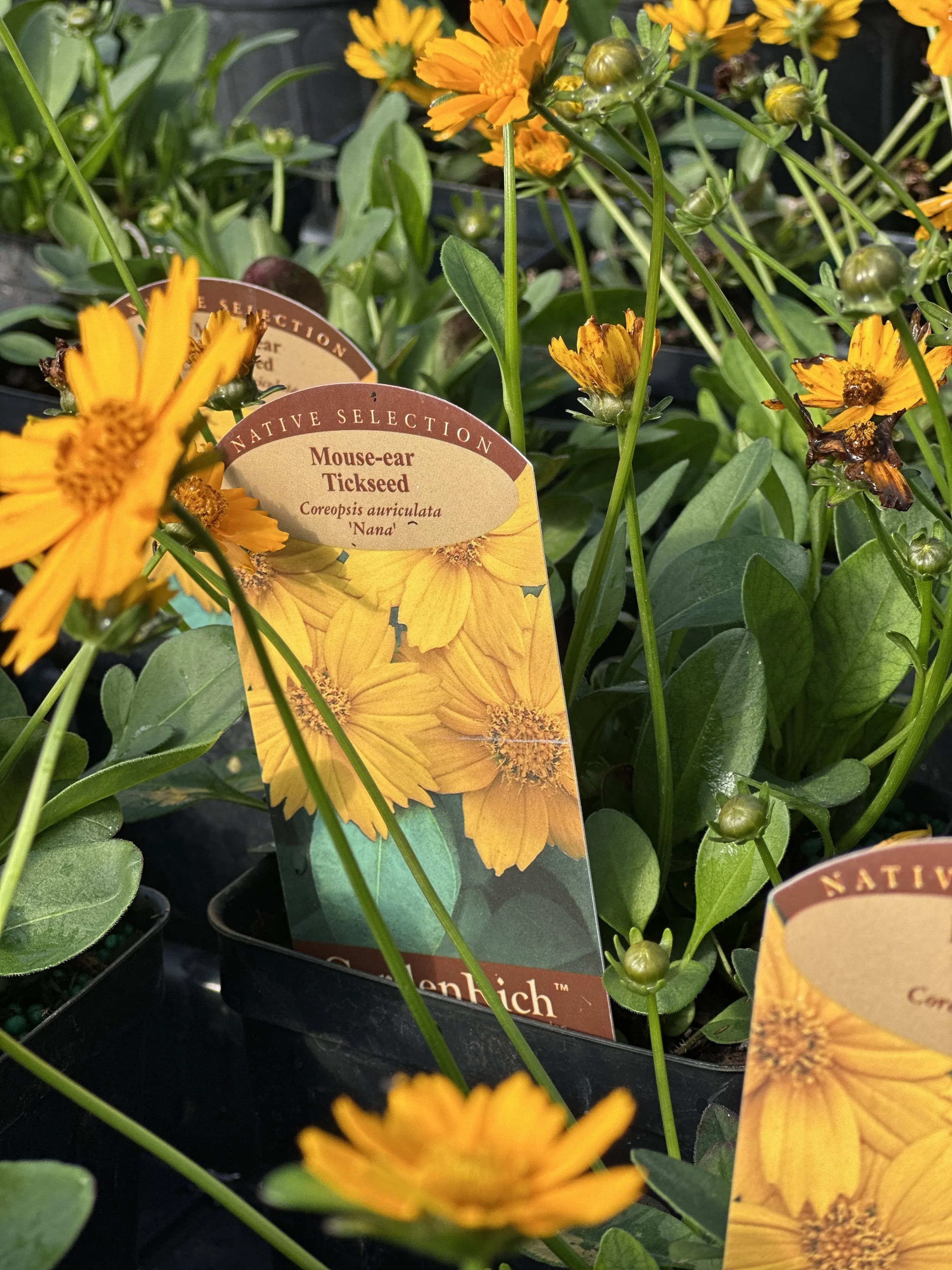 Saturday, March 29 // New Finds and New Friends