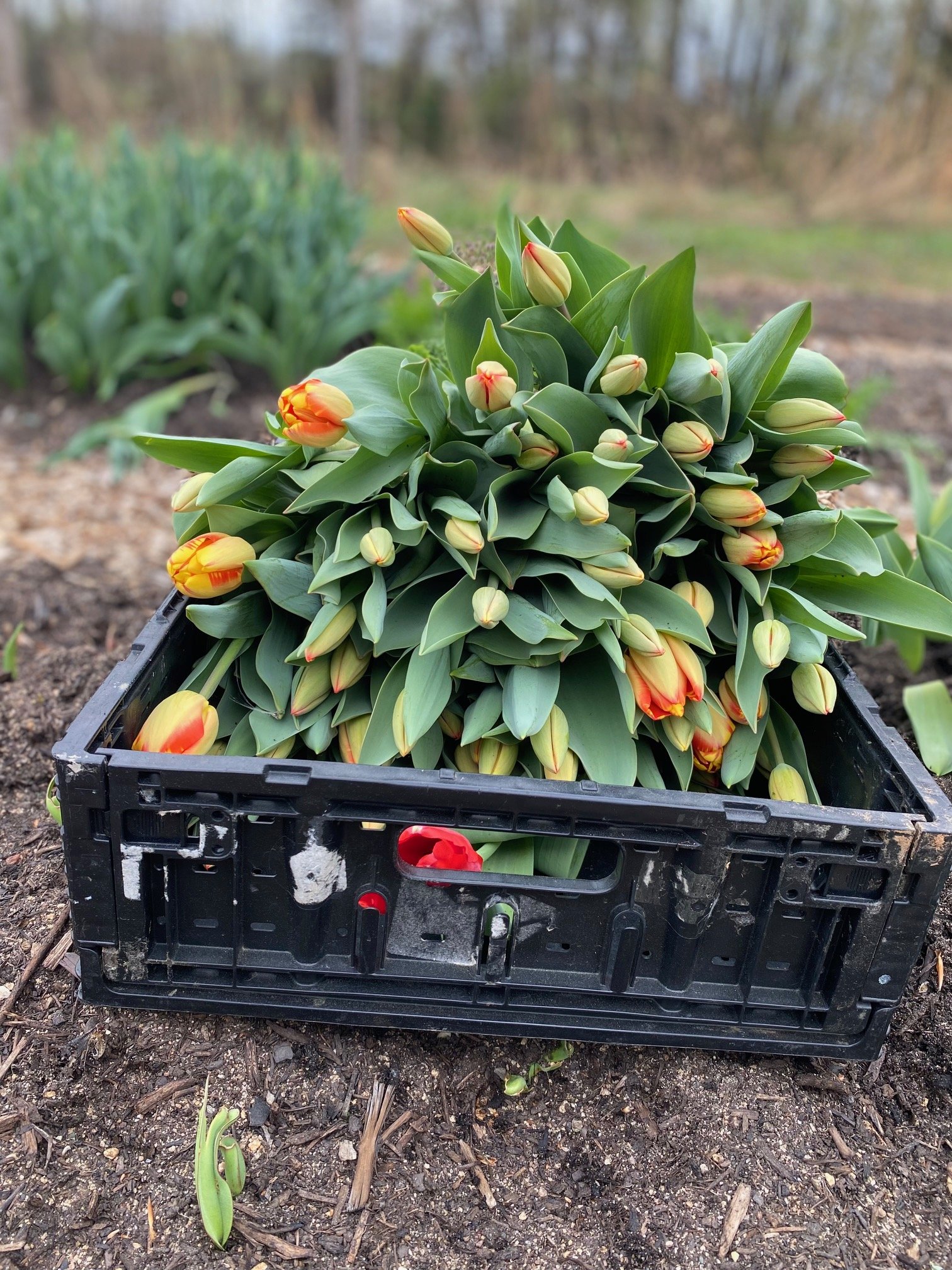 Saturday, April 12 // Find Something New Every Week